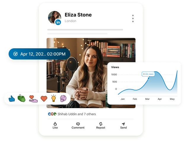schedule post on linkedin​